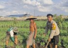 Bhabinkamtibmas-Desa-Sukorejo-Turun-ke-Sawah,-Dukung-Petani-Kembangkan-Jagung-untuk-Ketahanan-Pangan