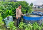Polsek-Gedangan-dengan-Warga-Manfaatkan-Lahan-Kosong-untuk-Budidaya-Ikan-Lele