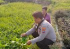 Kanit-Binmas-Polsek-Prambon-Silaturahmi-dengan-Penggerak-Ketahanan-Pangan-di-Desa-Pejangkungan