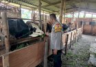 Topang-Ketahanan-Pangan,-Peternak-Sapi-di-Sidokepung-Buduran-Diberi-Motivasi-Polisi