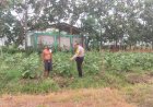 Bhabinkamtibmas-Kedungboto-Polsek-Porong-Apresiasi-Upaya-Warga-Tanam-Sayur-Kangkung-Dukung-Ketahanan-Pangan