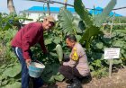 Polisi-Cinta-Petani-Beri-Tips-Perawatan-Labu-Saat-Patroli-di-Sedati-Sidoarjo,-Ini-Pesannya!