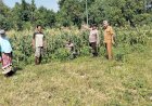Polisi-dan-Petani-Tulangan-Dukung-Ketahanan-Pangan