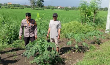 Polri-Cinta-Petani,-Kapolsek-Jabon-Optimalkan-Peran-Bhabinkamtibmas-Dukung-Ketahanan-Pangan-Tingkat-Desa