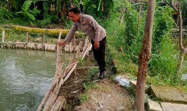 Bhabinkamtibmas-Berharap-Budidaya-Ikan-Lele-Turut-Dukung-Ketahanan-Pangan-Nasional