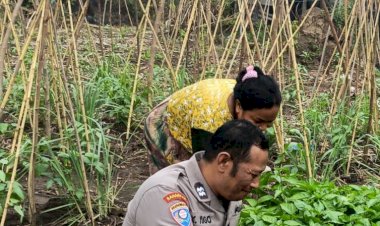 Bhabinkamtibmas-Desa-Tambak-Kalisogo-Cek-Tanaman-Sayur-Dukung-Ketahanan-Pangan