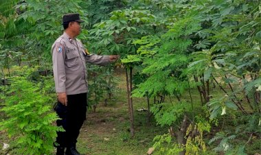 Warga-Desa-Ketimang-Wonoayu-Manfaatkan-Lahan-Kosong-untuk-Wujudkan-Ketahanan-Pangan