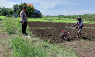 Polisi-Peduli-Petani,-Bhabinkamtibmas-Pangkemiri-Dampingi-Kelola-Pekarangan-Pangan-Bergizi