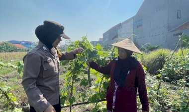 Polwan-Sedati-Dampingi-Petani-Ubi-Tingkatkan-Ketahanan-Pangan