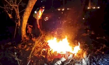 Respons-Cepat,-Polsek-Widodaren-dan-Tim-Gabungan-Padamkan-Titik-Api-Karhutla-di-Ngawi