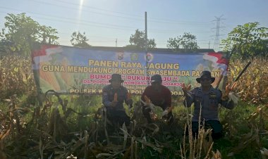Polsek-Wonoayu-Panen-Raya-Jagung,-Dukung-Swasembada-Pangan
