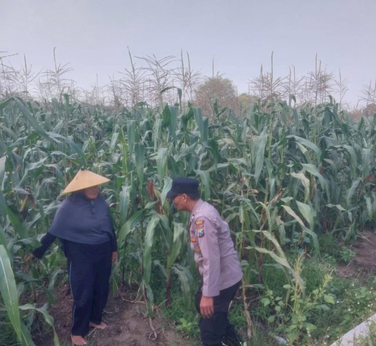 Dampingi Petani, Polsek Sidoarjo Kota Dukung Swasembada Pangan
