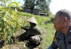 Bhabinkamtibmas-Desa-Buncitan-Bersama-Warga-Benahi-Lahan-P2B-untuk-Dukung-Ketahanan-Pangan-Polresta-Sidoarjo