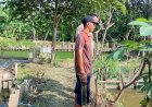 Wujudkan-Asta-Cita-Presiden,-Polsek-Candi-Kembangkan-Budidaya-Lele-di-Sidoarjo